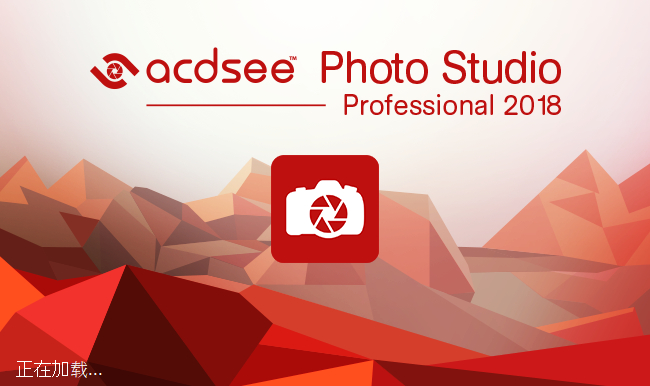 ACDSee Professional 11.2.888 汉化特别版