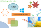 PicPick Professional_v7.3.4 中文破解绿色版
