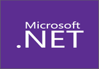 Microsoft .NET Runtime(.NET9.0) v9.0.04