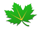 绿色守护Greenify v4.7.8(47800) 解锁捐赠版