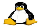 Linux Kernel 5.9.11 Stable / 4.19.160 LTS