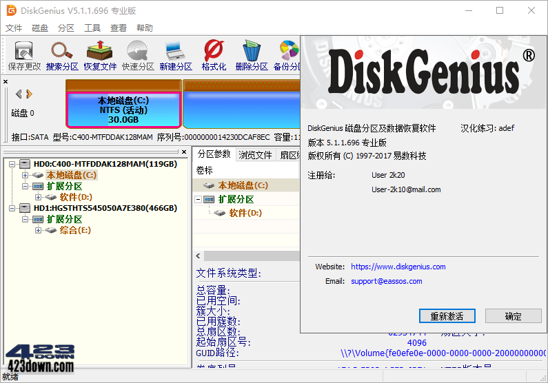 DiskGenius Professional 5.4.5.1412 Crack