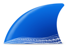 网络抓包工具Wireshark v4.4.6.0 中文绿色版