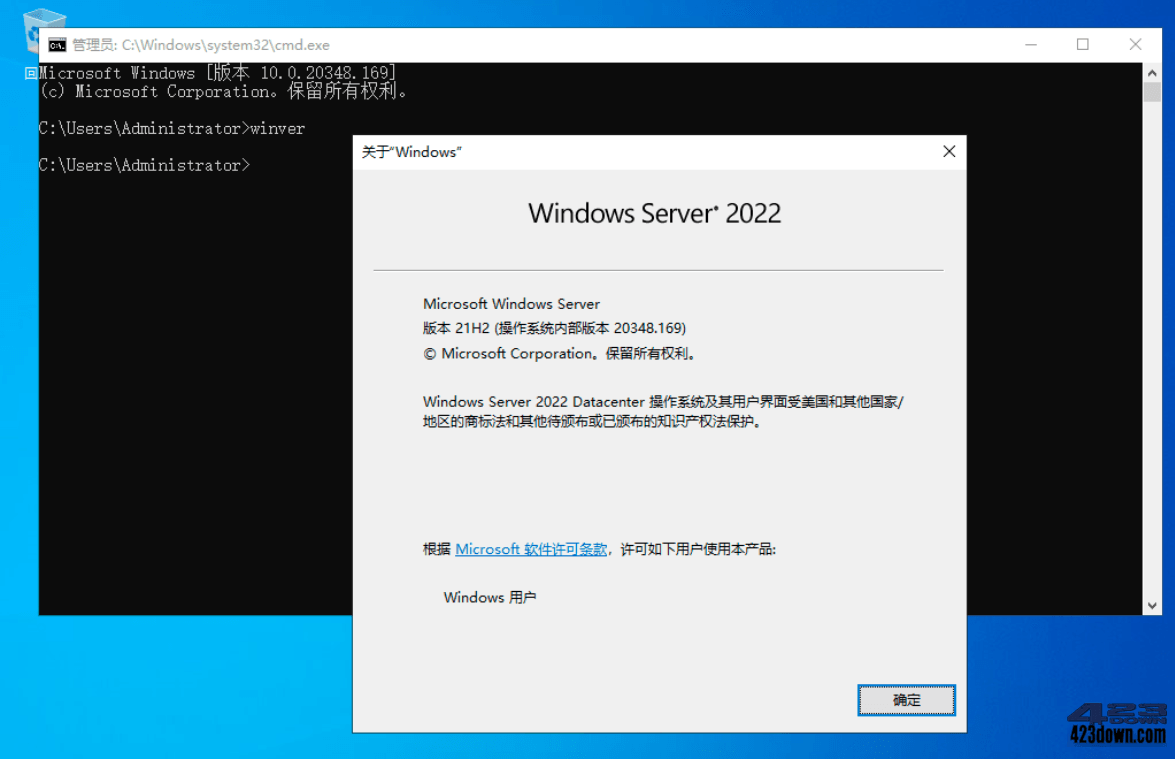 Windows Server 2022_v21H2 (20348.707)