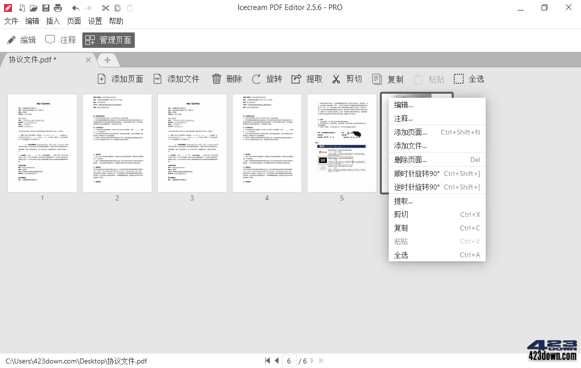 IceCream PDF Editor Pro v3.19 中文破解版