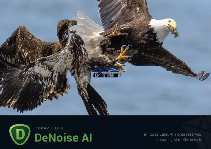 图像降噪软件Topaz DeNoise AI破解版 3.7.2