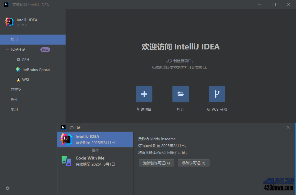 IntelliJ IDEA 2022.3.2 IDEA2022中文激活版
