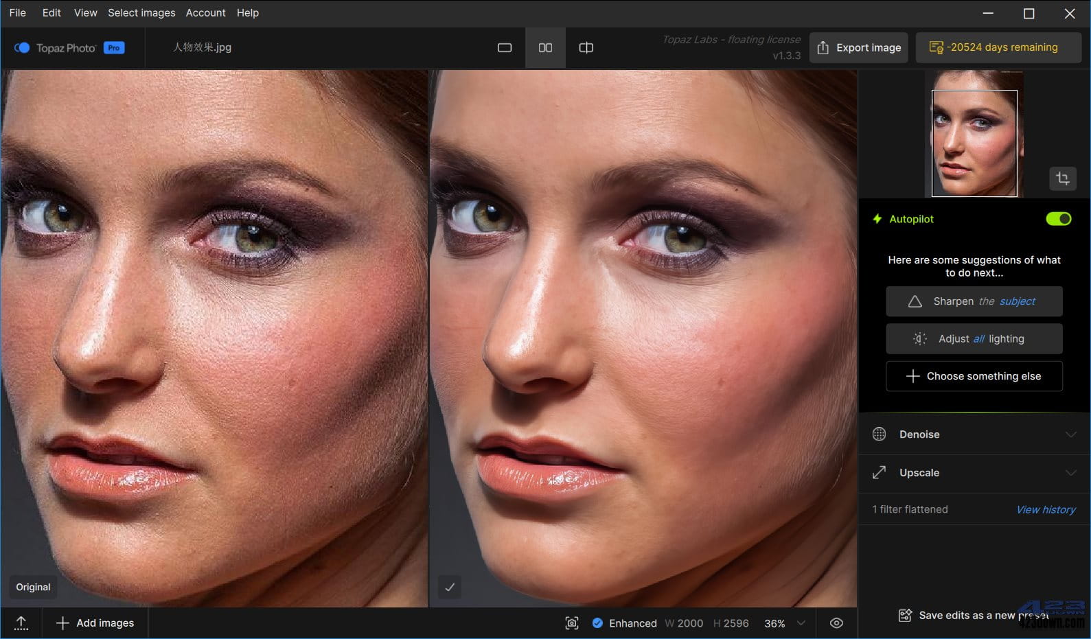 Topaz Photo(Ai图片修复软件) v1.3.3 破解版