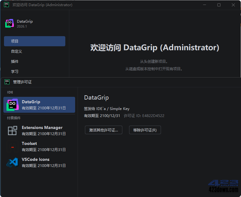 DataGrip2026 中文破解版 v2026.1.0 最新版