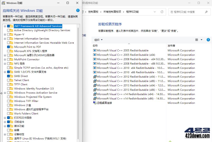 Win11 v26H1(28000.1764) 小修轻度精简版