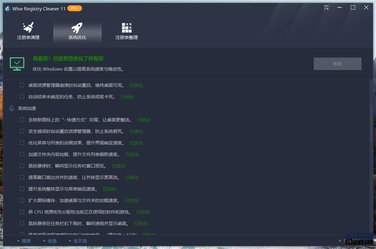 Wise Registry Cleaner 11 Pro 中文绿色版注册表优化界面