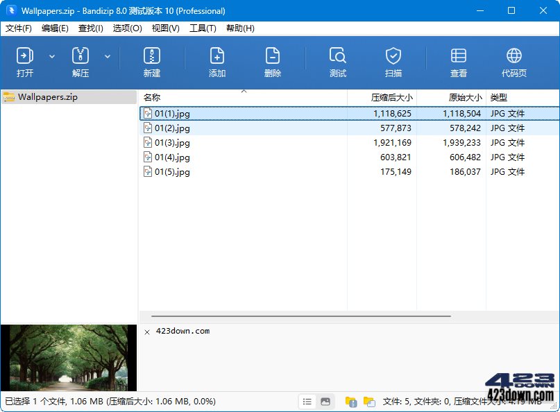 Bandizip解压缩软件 v8.00 测试版破解专业版